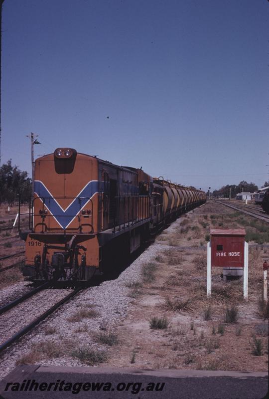 T02639
RA class 1916, fire hose box, Pinjarra, SWR line, head on view
