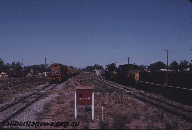 T02641
RA class 1916, fire hose box, Pinjarra, SWR line, head on view
