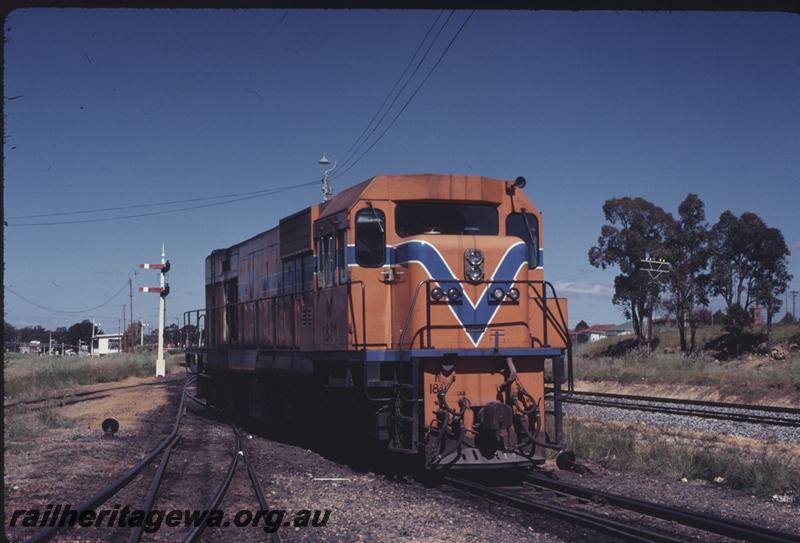 T02665
N class 1871, Collie, head on view
