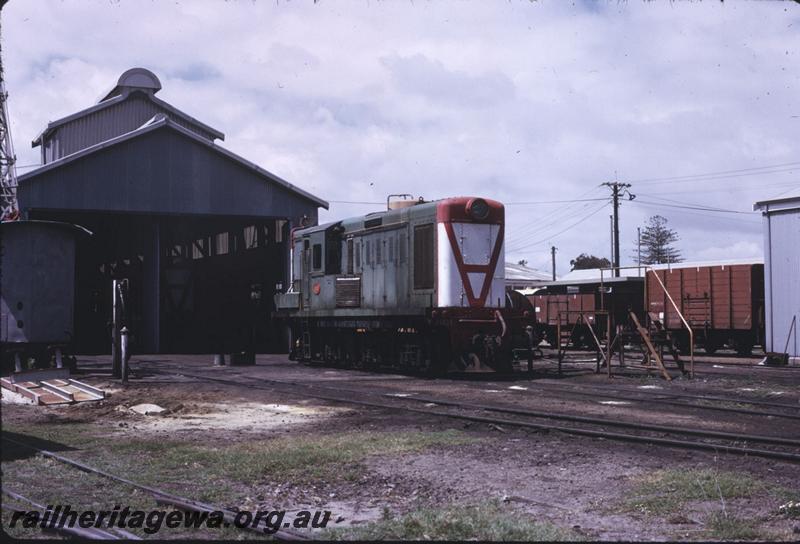 T02784
Y class 1101, loco shed, Bunbury loco depot
