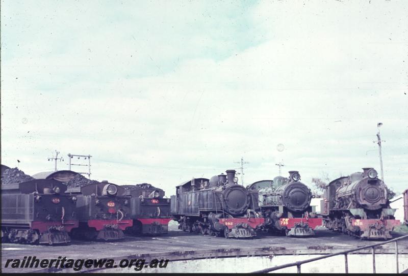 T02874
Various locos including DD class 592, around turntable, Bunbury loco depot
