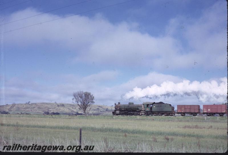 T02878
W class, goods train, distant view
