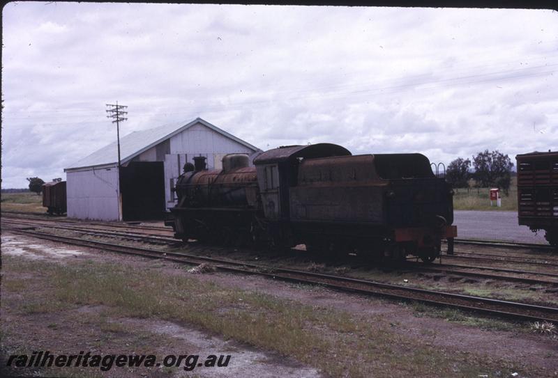 T02880
W class 907, goods shed, Pinjarra, awaiting restoration, rear view
