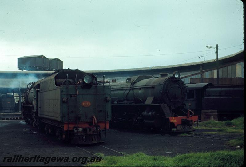 T02934
V class 1217, rear of tender, V class 1206, roundhouse, Bunbury loco depot
