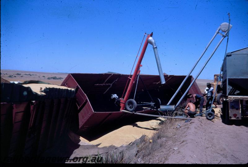 T02963
Two of ten photos of a derailment at Dongara, MR line, derailed wagons being emptied of wheat
