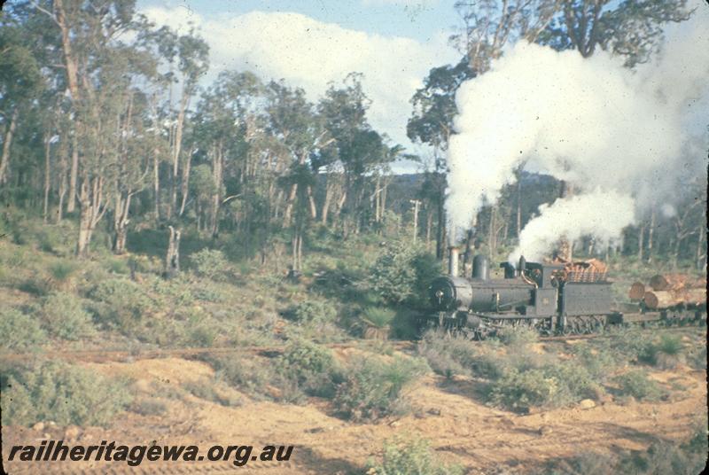 T02977
Millars loco No.58, hauling log train, Jarrahdale bush line
