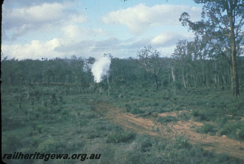 T02978
Millars loco No.58, approaching from a distance, Jarrahdale bush line
