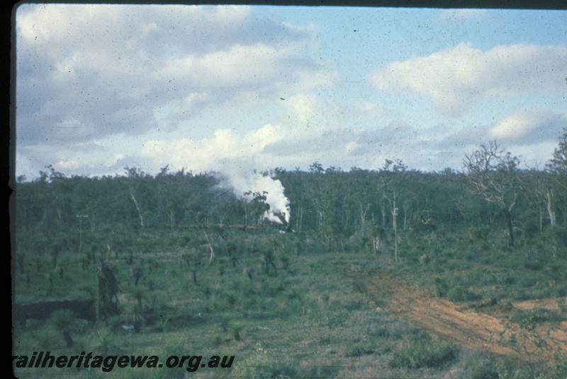 T02979
Millars loco No.58, approaching from a distance, Jarrahdale bush line
