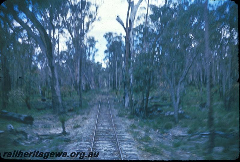 T02982
Track, Jarrahdale bush line
