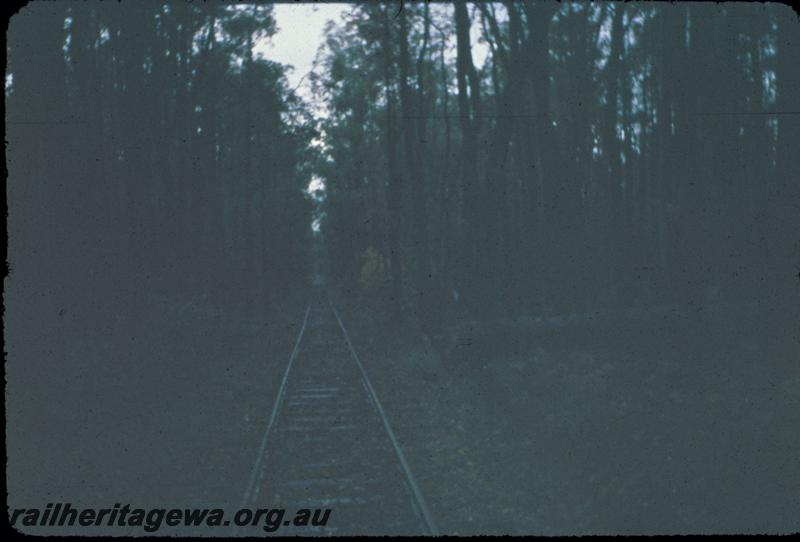 T02988
Track, Jarrahdale bush line
