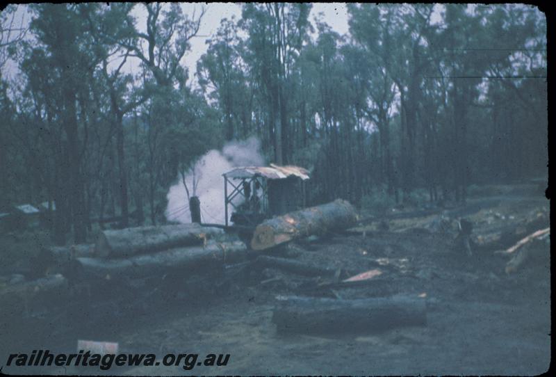 T02989
Bush landing, Jarrahdale bush line, wagons being loaded
