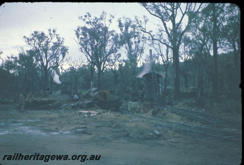 T02990
Bush landing, Jarrahdale bush line, wagons being loaded
