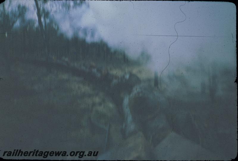 T02994
Millars log train, view back along log rake
