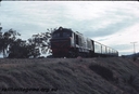 Filename=T02829.jpg
Filesize=87KiB
Dimensions=800x544
Date added=Sep 03, 2014 T02829.jpg