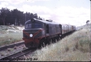Filename=T02830.jpg
Filesize=106KiB
Dimensions=800x544
Date added=Sep 03, 2014 T02830.jpg