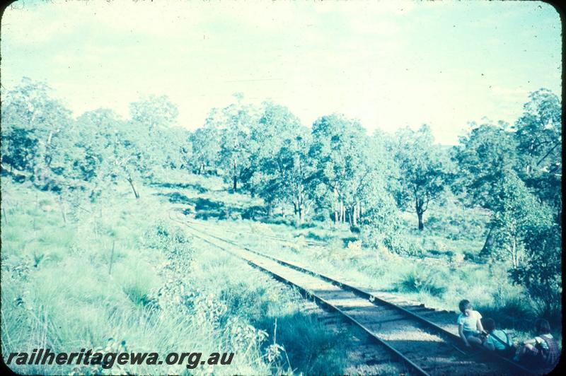 T03001
Zig Zag, Yarloop bush line
