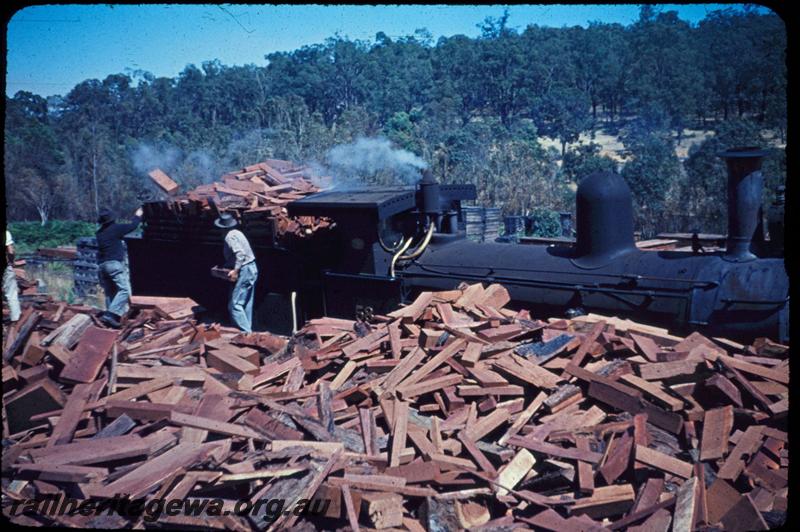 T03004
Millars loco No.58, Jarrahdale, at woodpile being loaded with firewood
