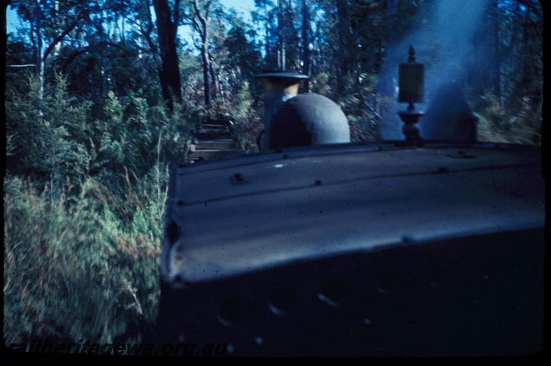 T03008
Track, Jarrahdale bush line, view forward from loco
