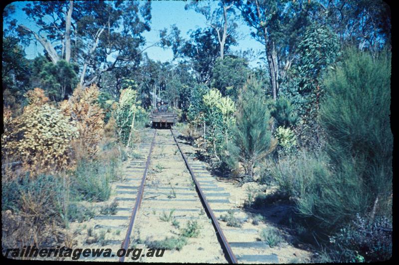 T03010
Track, Jarrahdale bush line, view forward from loco
