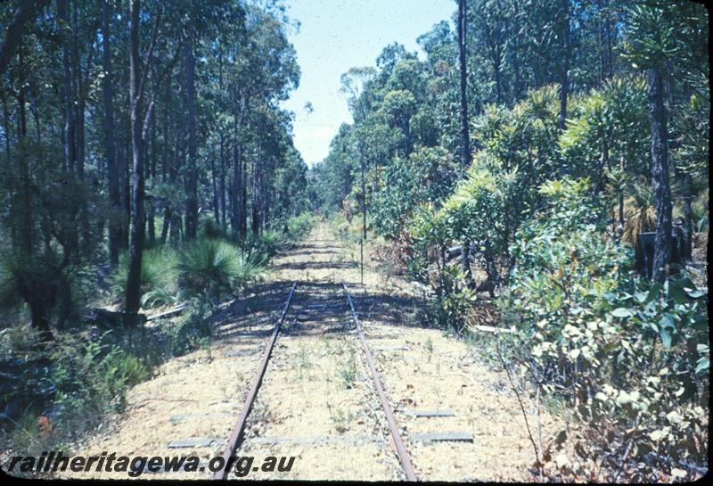 T03011
Track, Jarrahdale bush line, view forward from loco
