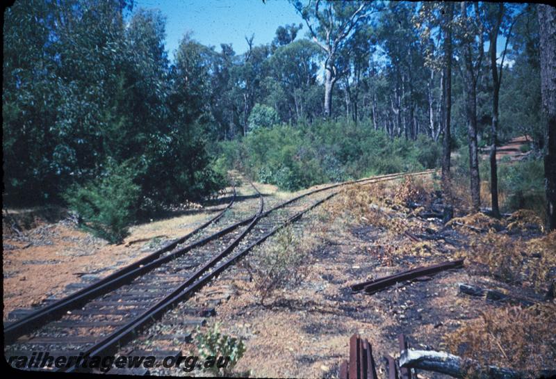 T03012
Track junction, Jarrahdale bush line
