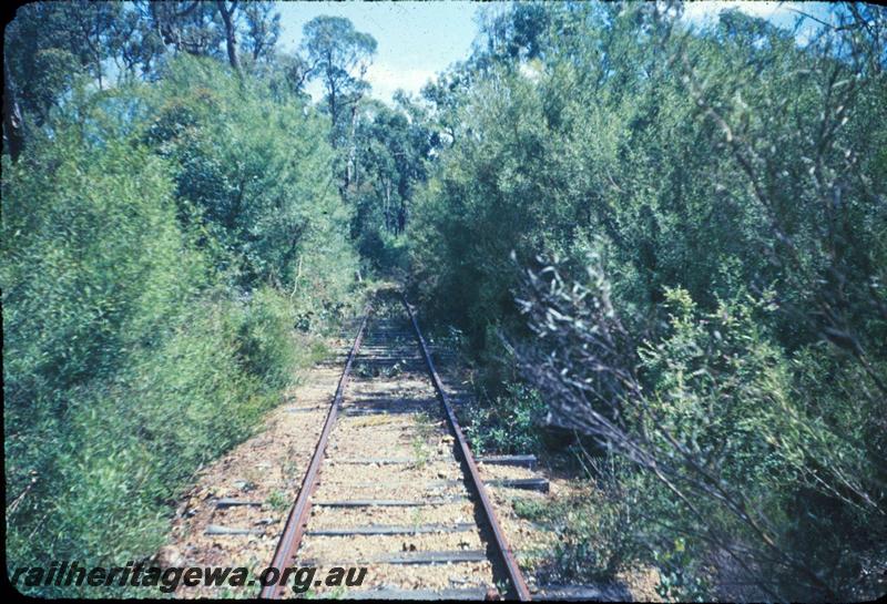 T03013
Track, Jarrahdale bush line
