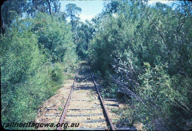 T03013
Track, Jarrahdale bush line
