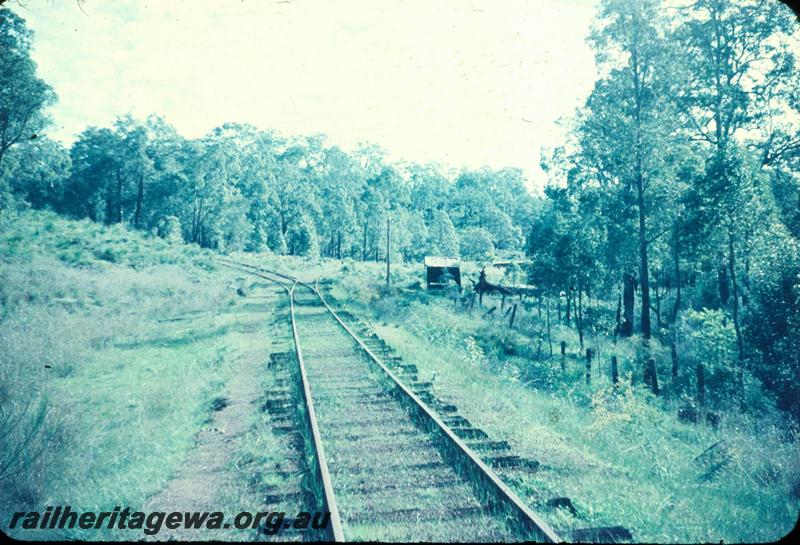 T03018
Track junction, Zig Zag, Yarloop bush line
