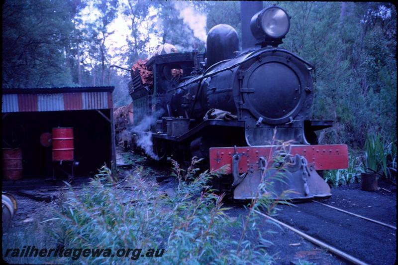 T03029
SSM loco on log train stopped at a lineside shed. Pemberton
