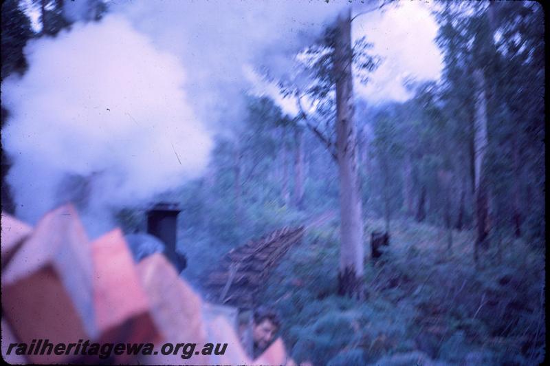 T03032
SSM loco hauling empty log rake, view back along train
