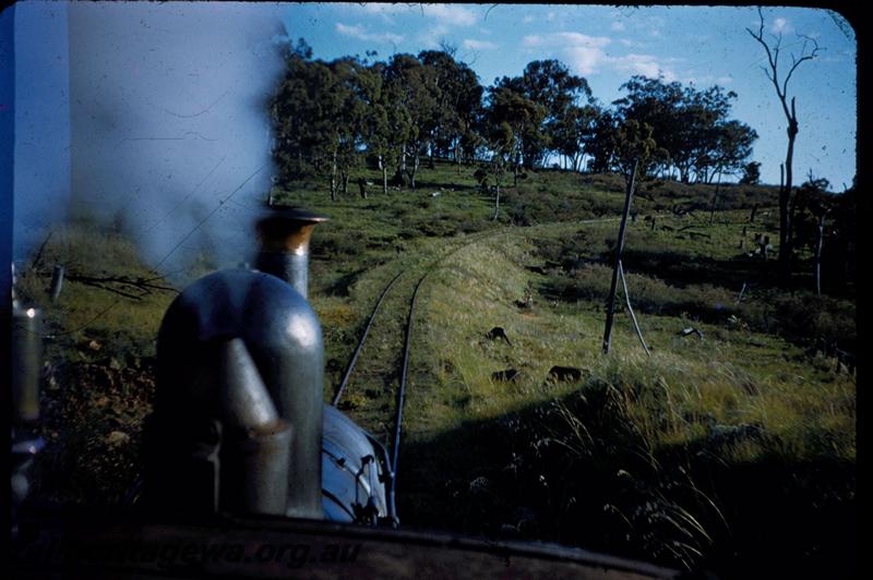 T03035
Millars Jarrahdale bush line, view forward from loco
