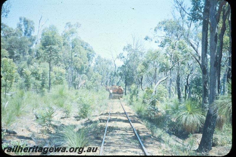 T03038
Track, Jarrahdale bush line
