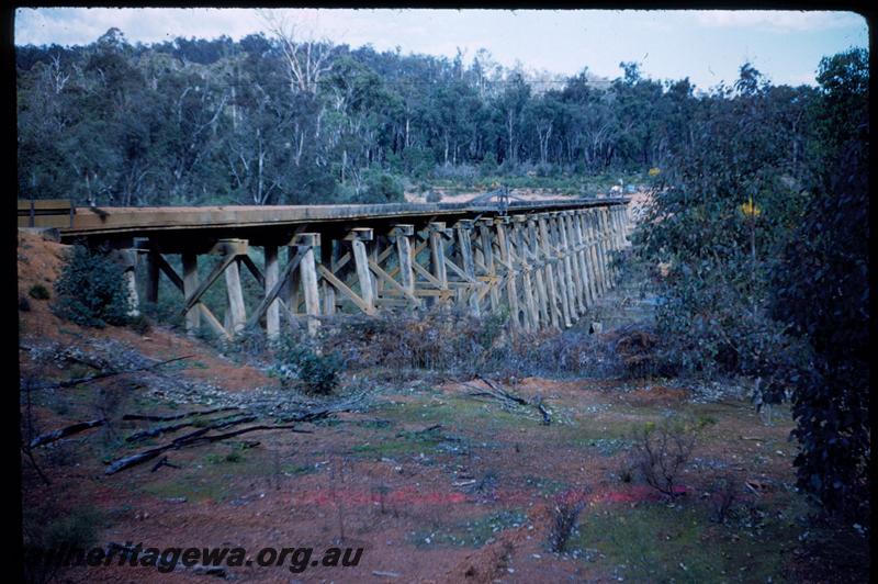 T03042
Trestle bridge, Asquith, Banksiadale railway
