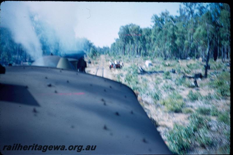 T03043
View along track from loco on the Banksiadale railway
