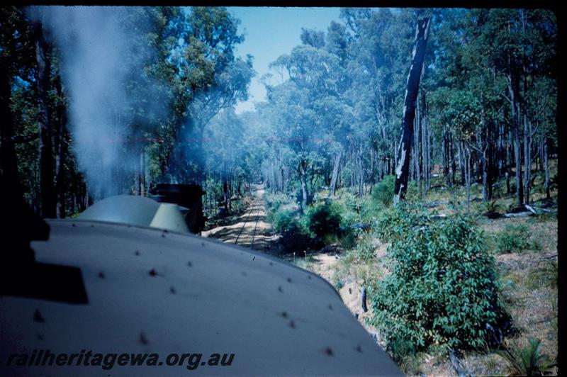 T03045
View along track from loco on the Banksiadale railway
