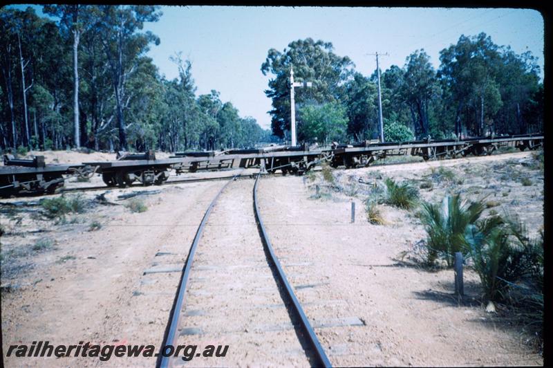 T03051
Grade crossing, Wuraming, Banksiadale railway
