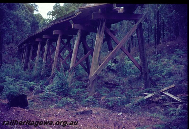 T03103
Trestle bridge, abandoned logging bridge
