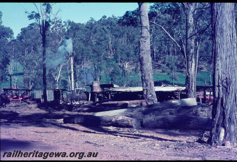 T03106
Mill, Charlies Creek, general overall view, shows ex loco boiler
