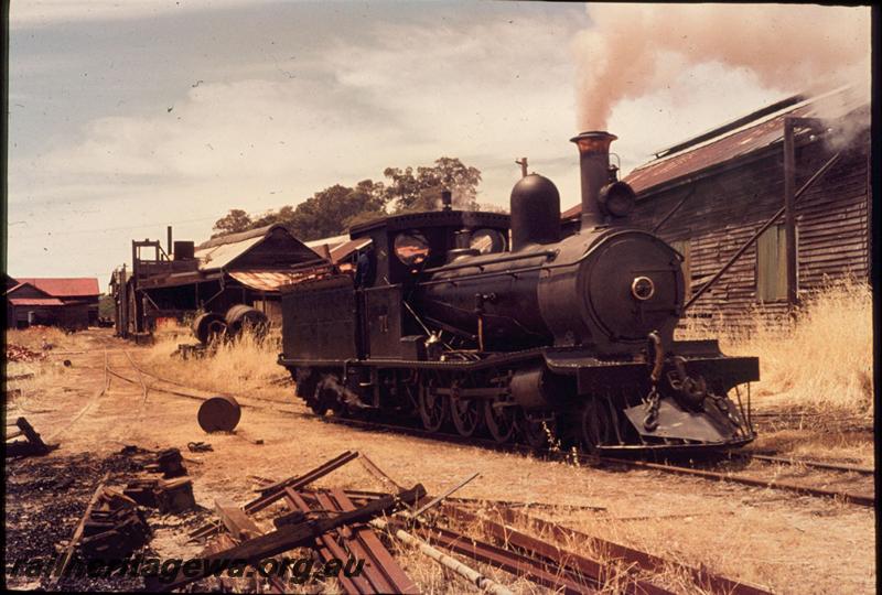 T03116
Millars loco No.71, front and side view, Yarloop workshops
