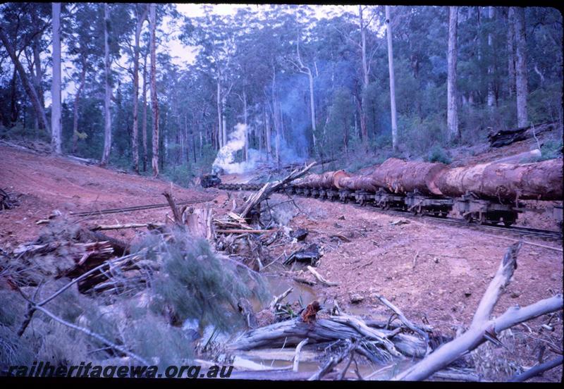 T03135
SSM loco, Pemberton bush railway, rear view of log train
