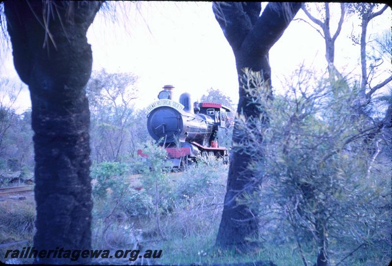 T03139
Bunnings loco YX class 86 on ARHS tour train, Donnelly Mill, in bush setting
