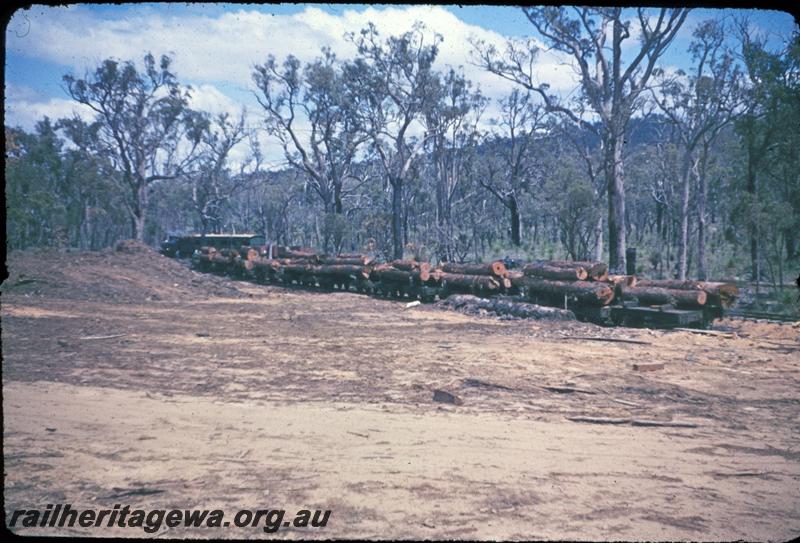 T03144
ARHS first tour, Millars loco No.58, train passing a rake of loaded log wagons.
