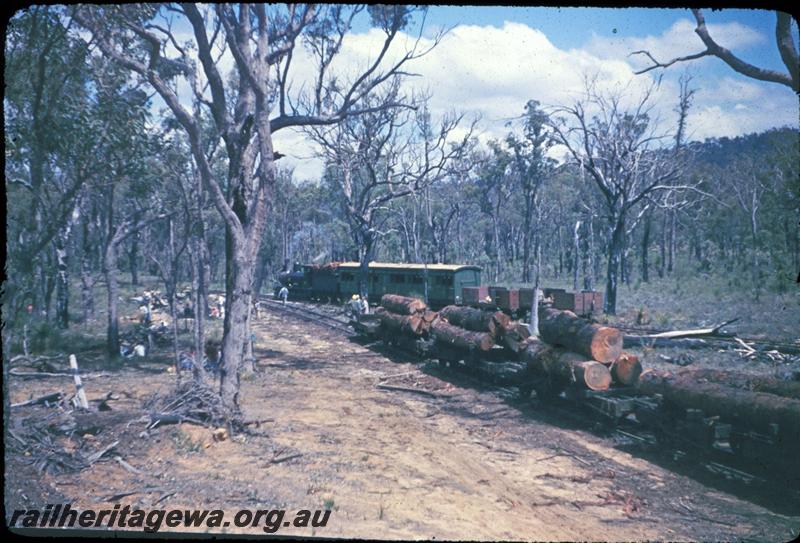 T03146
ARHS first tour, Millars loco No.58, train passing a rake of loaded log wagons.
