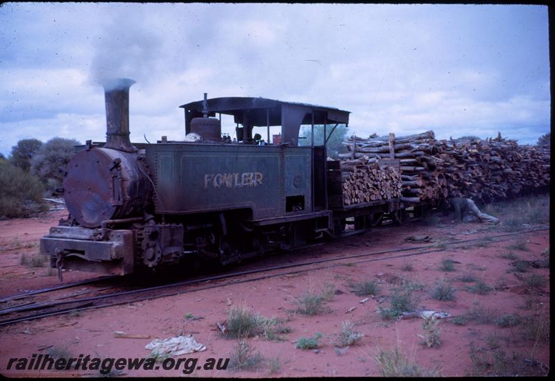 T03173
Sons of Gwalia loco 