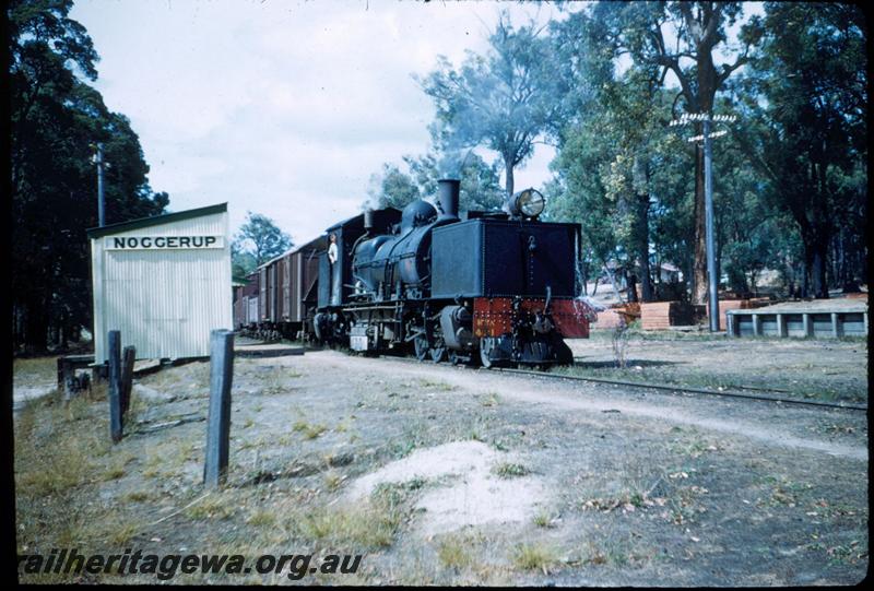 T03190
MSA class 491 Garratt loco, out of shed, Station, Noggerup, DK line, goods train
