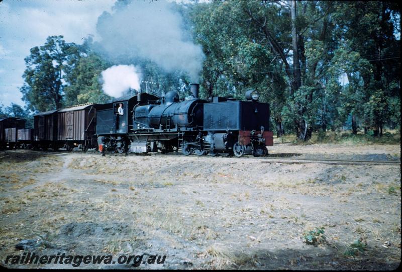 T03191
MSA class 491 Garratt loco, Noggerup, DK line, goods train
