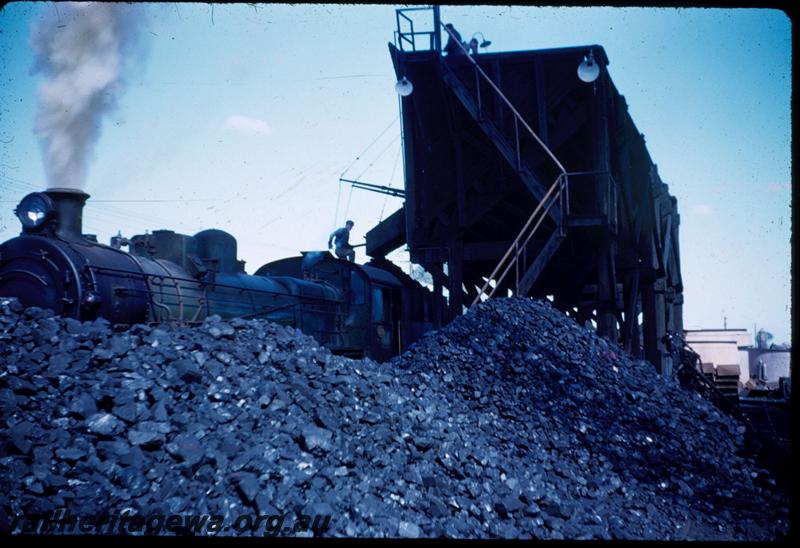 T03206
PMR class 720, coaling stage, East Perth loco depot, being coaled
