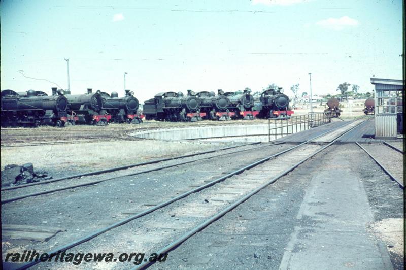 T03216
Locos around turntable, Collie
