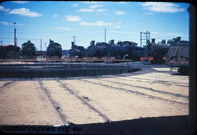 T03263
Locos lined up around turntable, Bunbury loco depot
