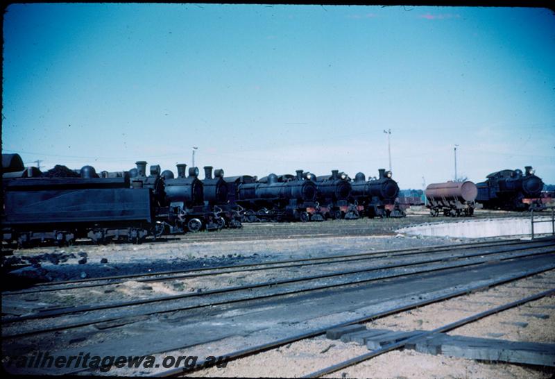 T03264
Locos lined up around turntable, Collie loco depot
